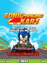game pic for Sonic Racing Kart